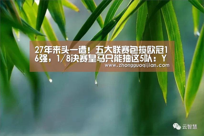 27年来头一遭!五大联赛包揽欧冠16强,1/8决赛皇马只能抽这5队:YABO鸭脖官网(图3) yabo鸭脖集团